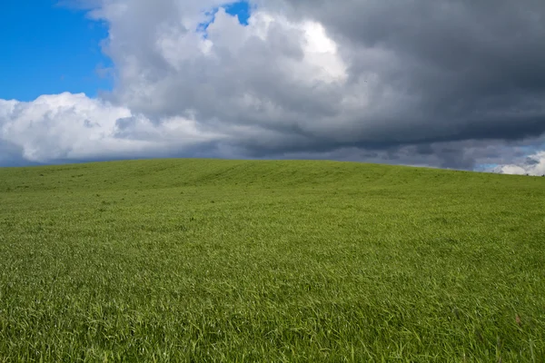 stock image Green fields under dark clouds