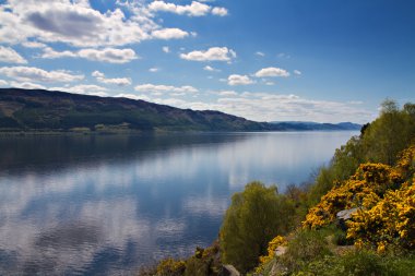 Lookout over Loch Ness clipart