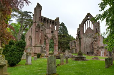 Ruins of the Dryburgh Abbey clipart