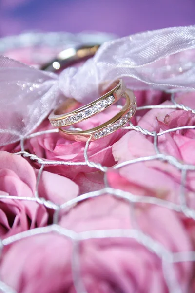 stock image Wedding Rings