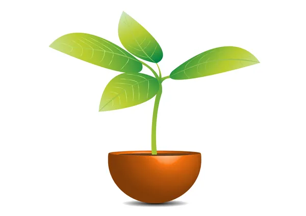 Plantera i en kruka — Stock vektor