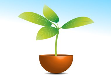 Plant in a pot clipart