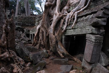 Angkor harabeleri