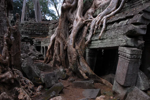 Angkor ruins — Stock Photo, Image