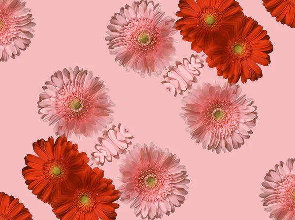 stock image Flower composition