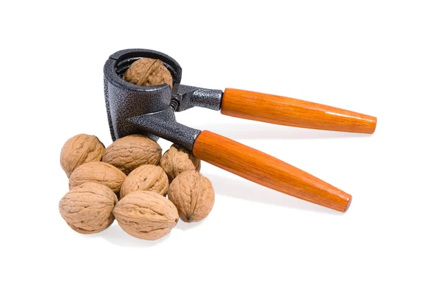 Nutcracker dan Walnut — Stok Foto