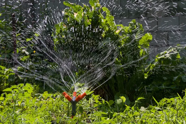 Садовый спринклер — стоковое фото