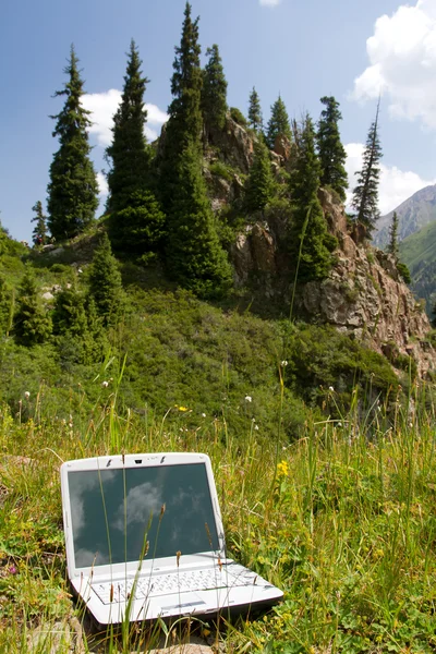 stock image Laptop in a grass