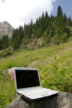 bir taş üstünde laptop