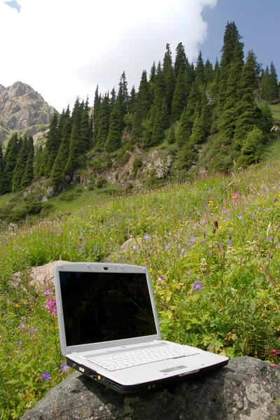 stock image Laptop on a stone