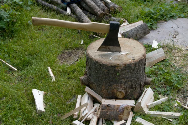 斧头和木树 — 图库照片