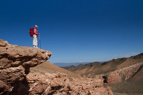 Турист смотрит на горную долину — стоковое фото