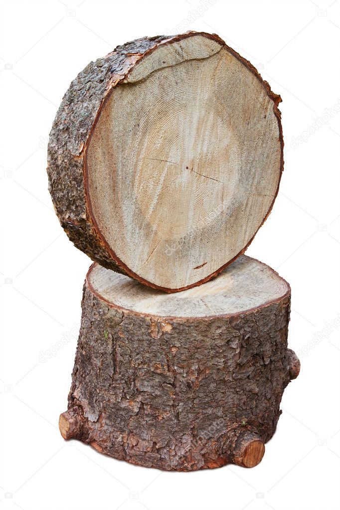Two wooden stump