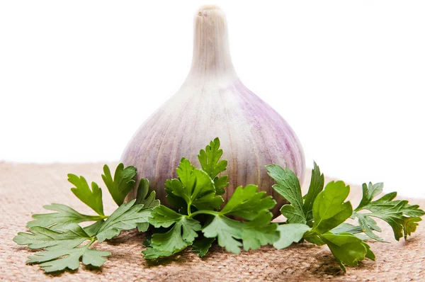 Stock image Parsley and garlic on an isolated background