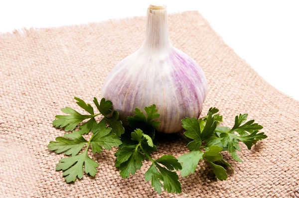 Stock image Parsley and garlic on an isolated background