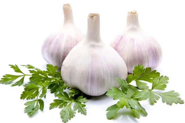 stock image Parsley and garlic on an isolated background