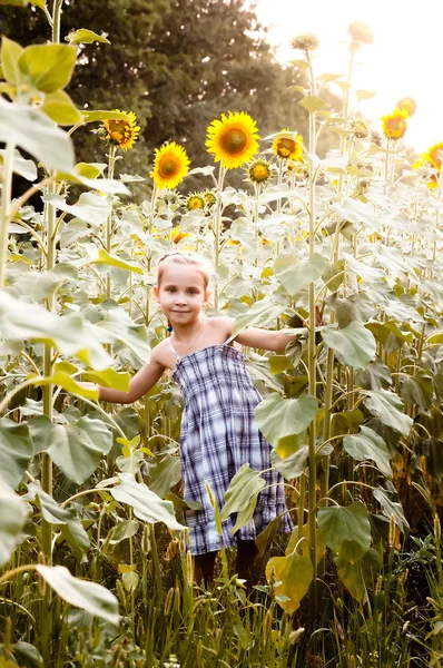 Kleines Mädchen auf einem Sonnenblumenfeld — Stockfoto