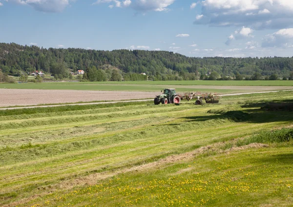 stock image Farming in sweden