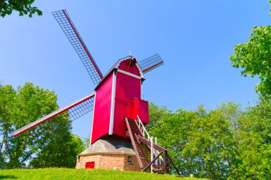 brugge, yel değirmeni ve yeşil çim