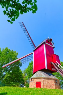 brugge, yel değirmeni ve yeşil çim