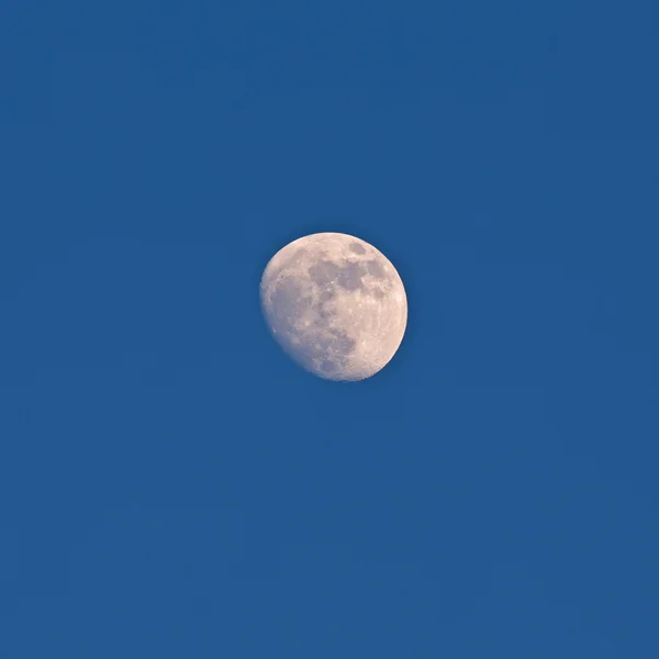 Half moon — Stock Photo, Image
