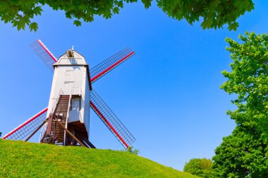 brugge, yel değirmeni ve yeşil çim