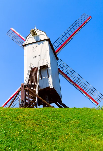 stock image Windmill and green lawn at Brugge