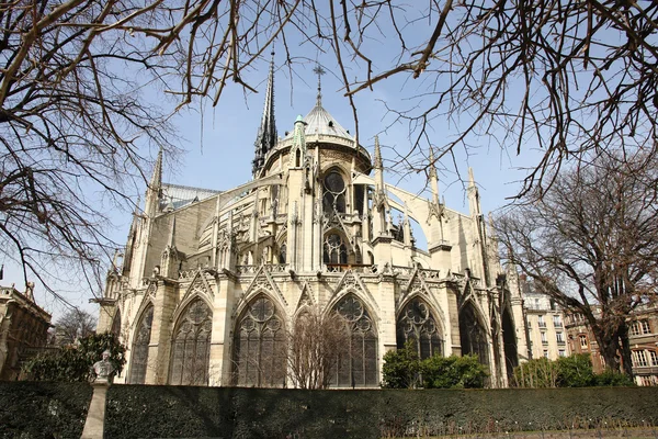 Hátulnézet a Notre-Dame — Stock Fotó