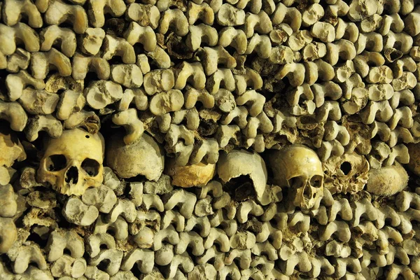 Stock image Les Catacombes, Paris