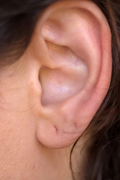 Entire ear — Stock Photo, Image