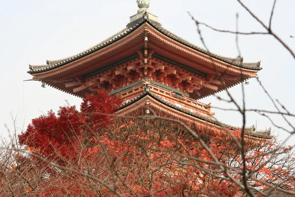 Японської temple #6 — стокове фото