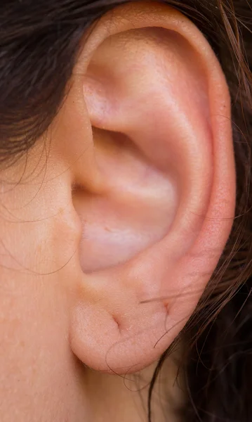 Piercing na orelha — Fotografia de Stock