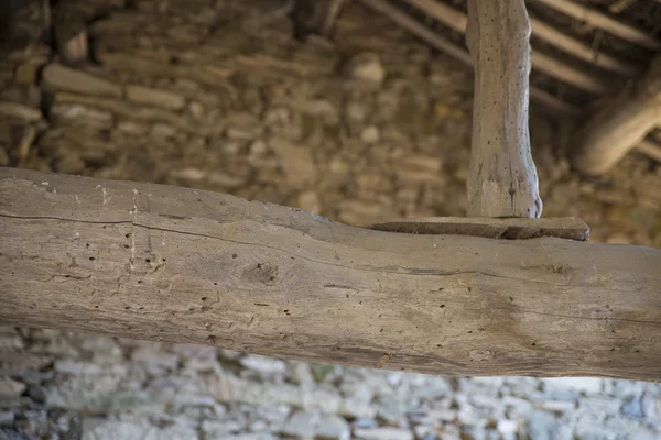 Antieke hoofdbalk met woodworm — Stockfoto