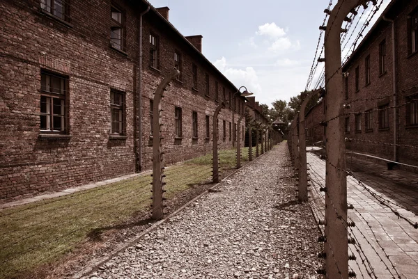 Stock image Picture from Concentration camp