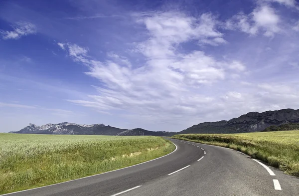Landscape with road curve — Stock Photo, Image