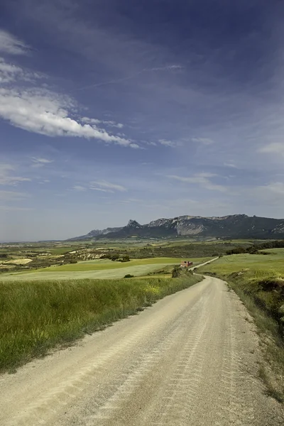 Camino rural de montaña — Foto de Stock