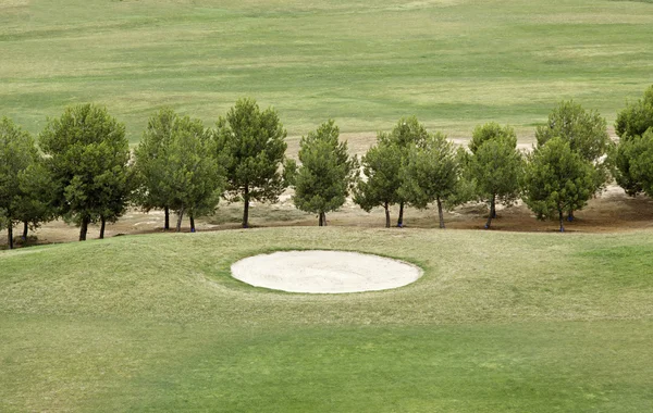 Campo de golf con árboles — Foto de Stock