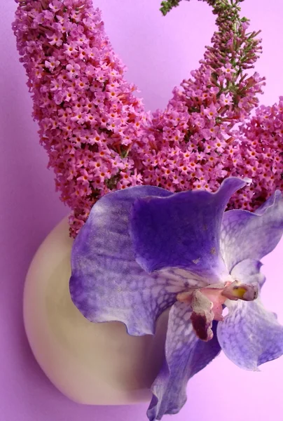 Natürliche & künstliche Blumen — Stockfoto