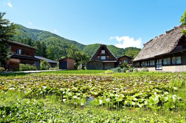 shirakawago, Japonya