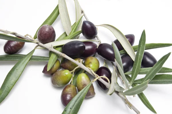 stock image Olives