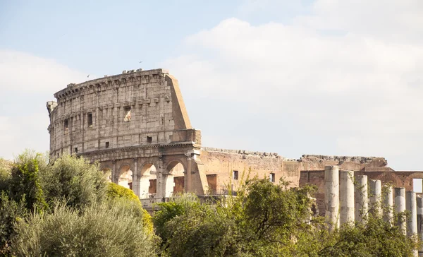 Roman Colosseum — Stock Photo, Image