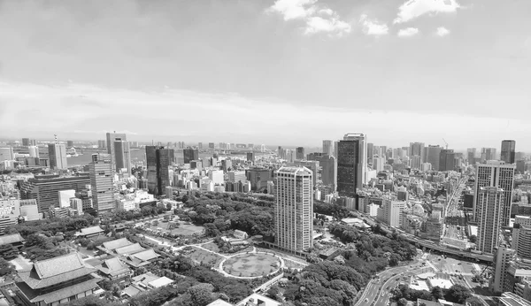 Vista de Tóquio da Torre de Tóquio. Fotografia em preto e branco — Fotografia de Stock