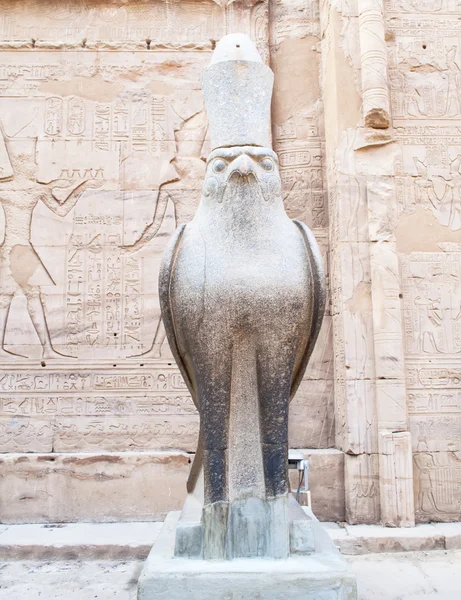 Edfu храм, Єгипет — стокове фото