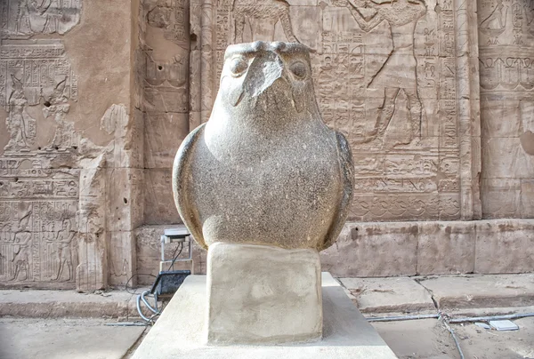 Edfu храм, Єгипет — стокове фото