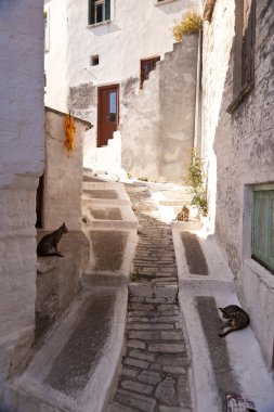 Village on Samos clipart