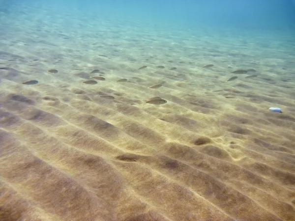 Onderwater in de Egeïsche zee — Stockfoto