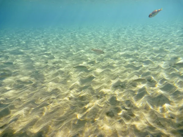 Under vattnet i Egeiska havet — Stockfoto