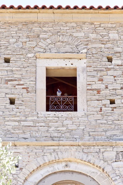 Pigeons on Samos — Stock Photo, Image