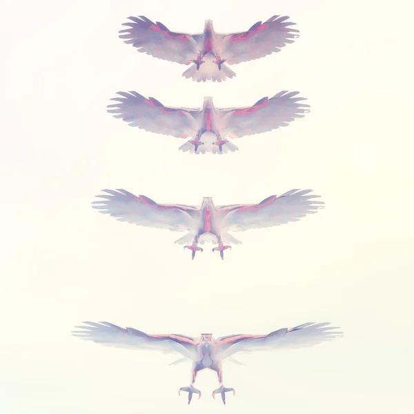 Águilas — Foto de Stock