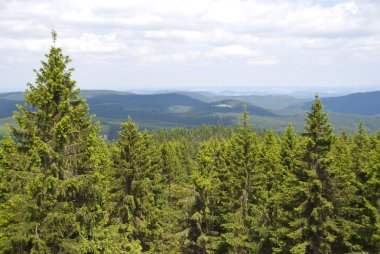 Thuringian Forest clipart